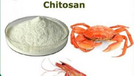 Active Packaging developed from Chitosan based films